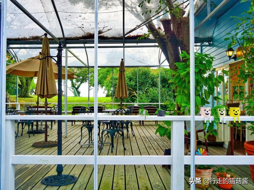 去腻了一个地方,大阪京都福冈一日游