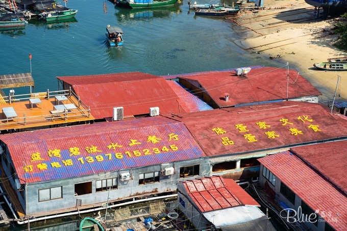 三亚南湾猴山岛,三亚南湾猴岛好玩的地方