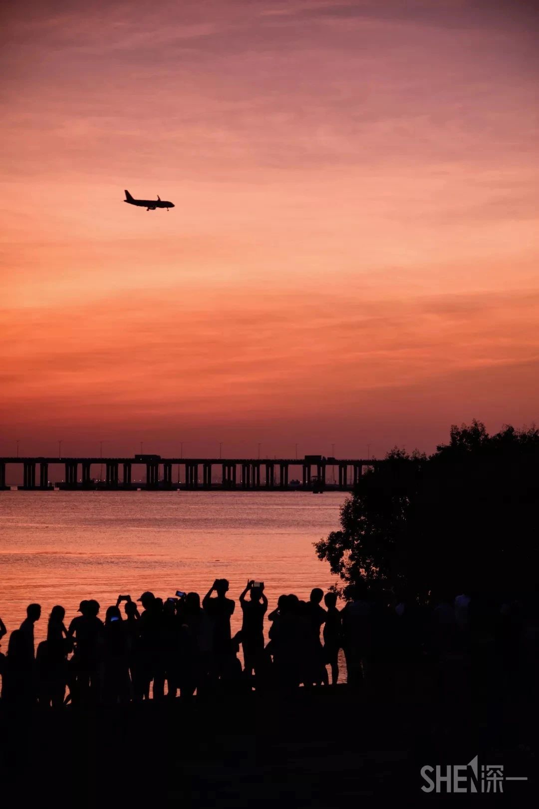 深圳11号线哪一站下车可以看海,坐深圳11号线去看海的地方