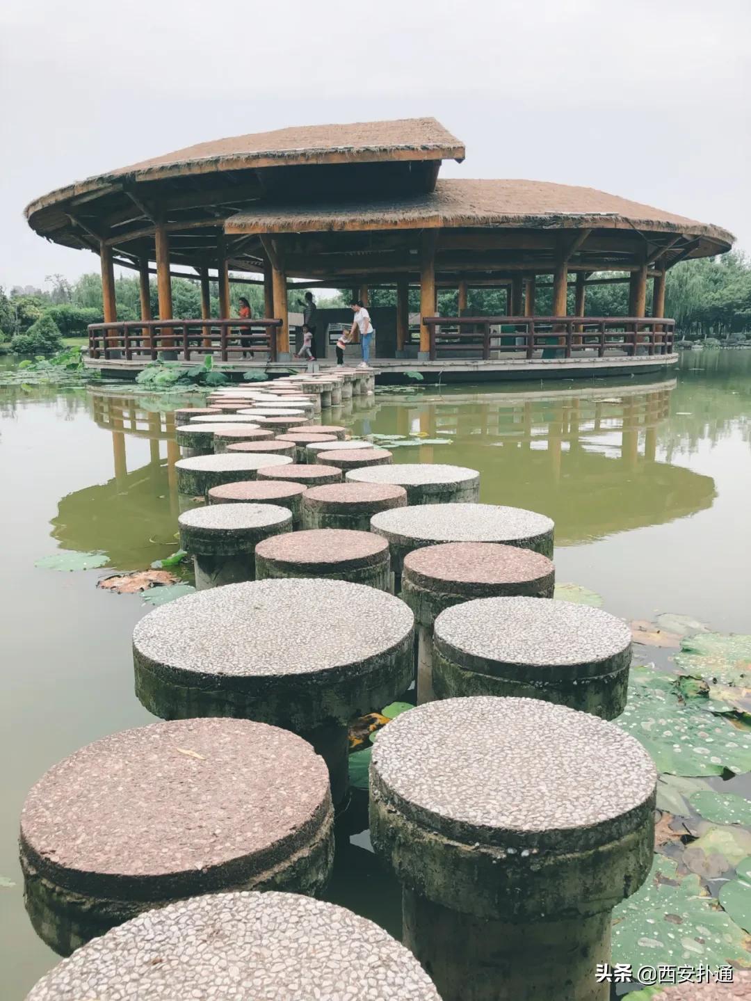 浐灞国家湿地公园最美地方,浐灞湿地公园有啥好玩的