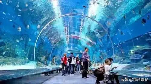 青岛极地海洋公园水母馆,青岛极地海洋公园门票