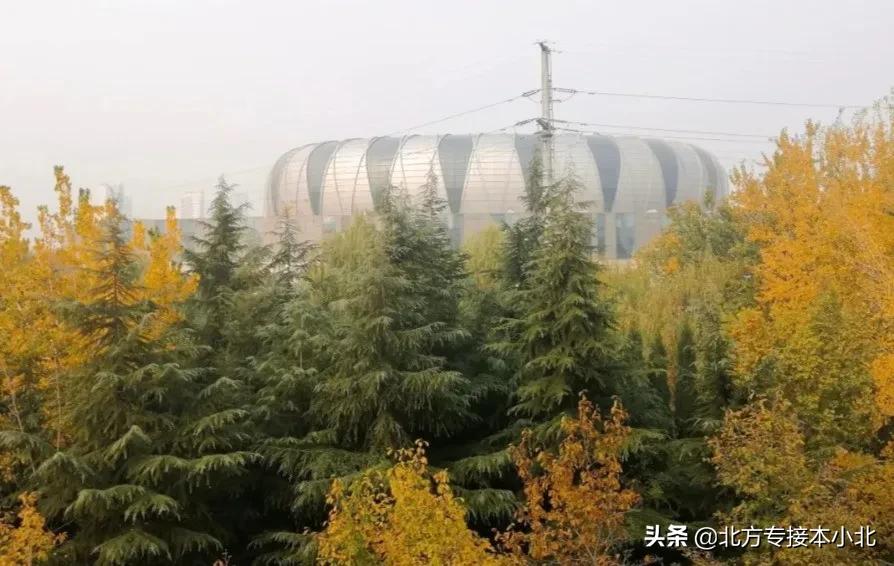 河北省建校时间最长的大学,邢台学院和河北师范