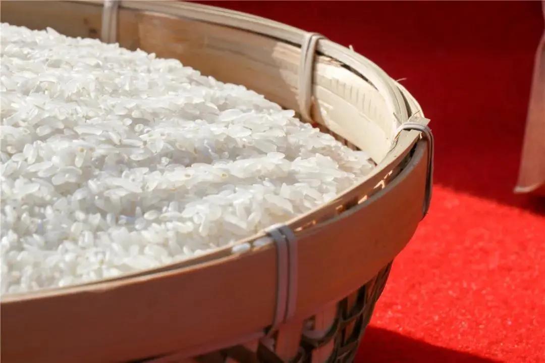 看！这是临安“雪山大米”的故事