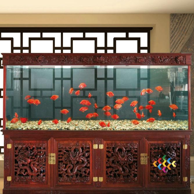 咋样挑选一个合适的鱼缸,如何选择适合自己的鱼缸