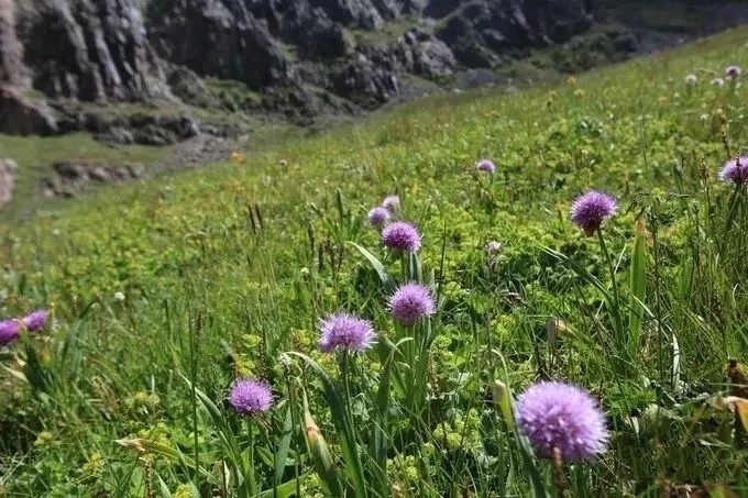 新疆最凶险峡谷路,新疆博格达峰徒步路线
