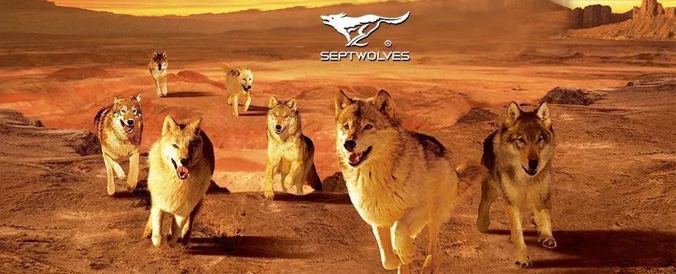 七匹狼和海澜之家有什么特色,七匹狼比较海澜之家