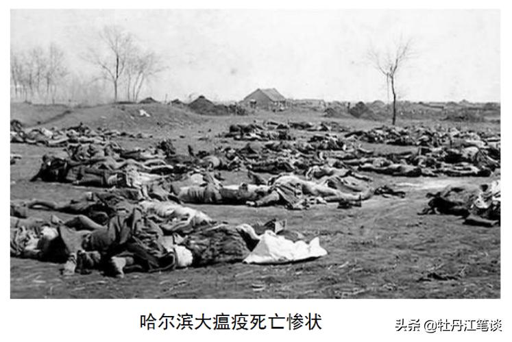 瘟疫乌鸦视频,从1910年开始的瘟疫
