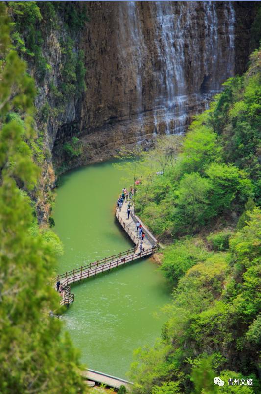 青州泰和山黄花溪,青州黄花溪风景区门票直播