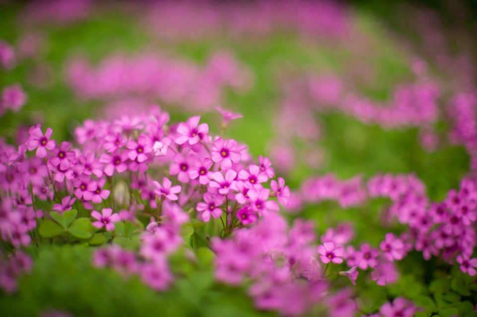 灏煎悍df3000,灏煎悍DF娴嬭瘎