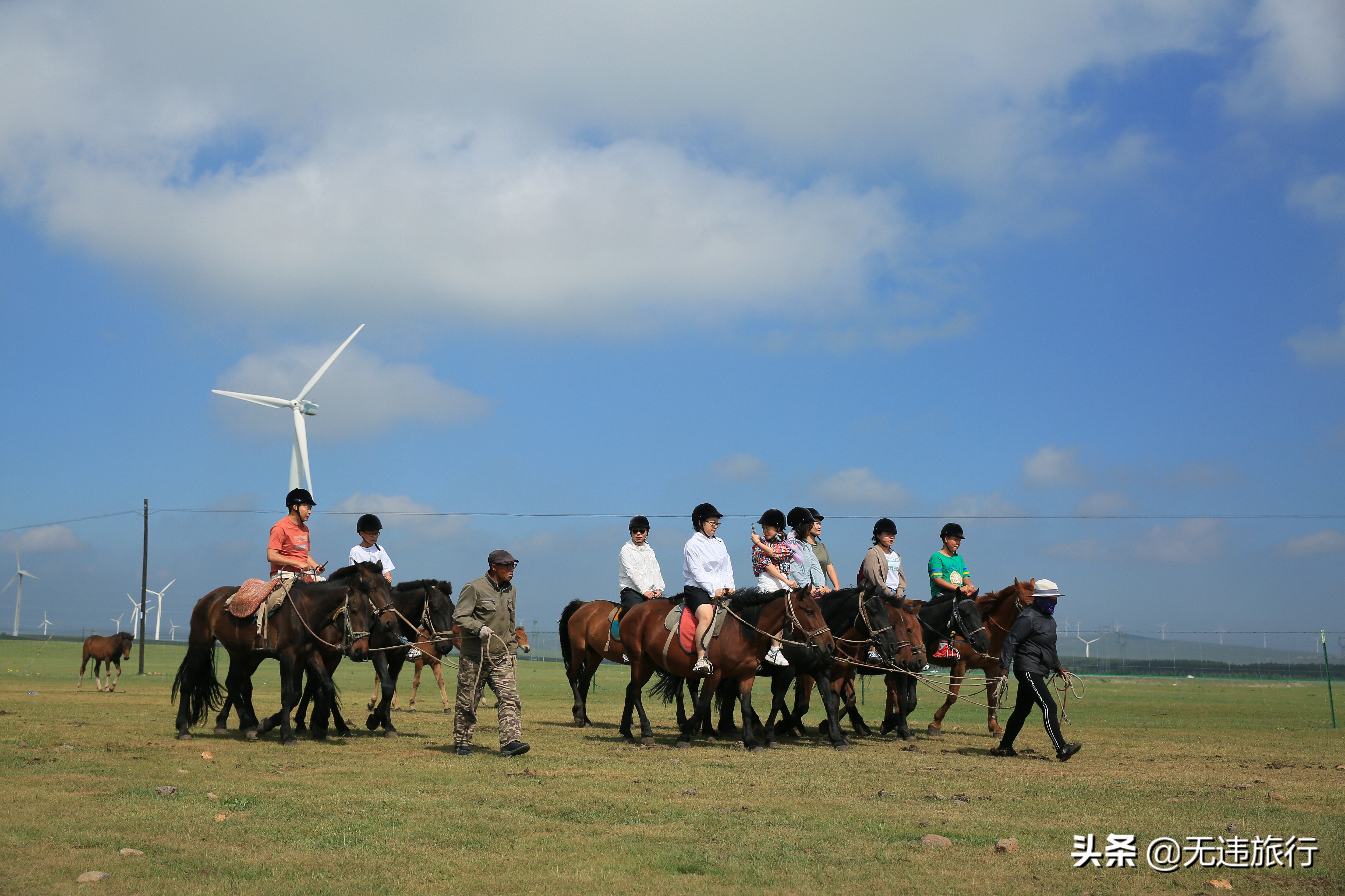 辉腾锡勒草原黄花沟游玩时长,辉腾锡勒草原黄花沟见闻