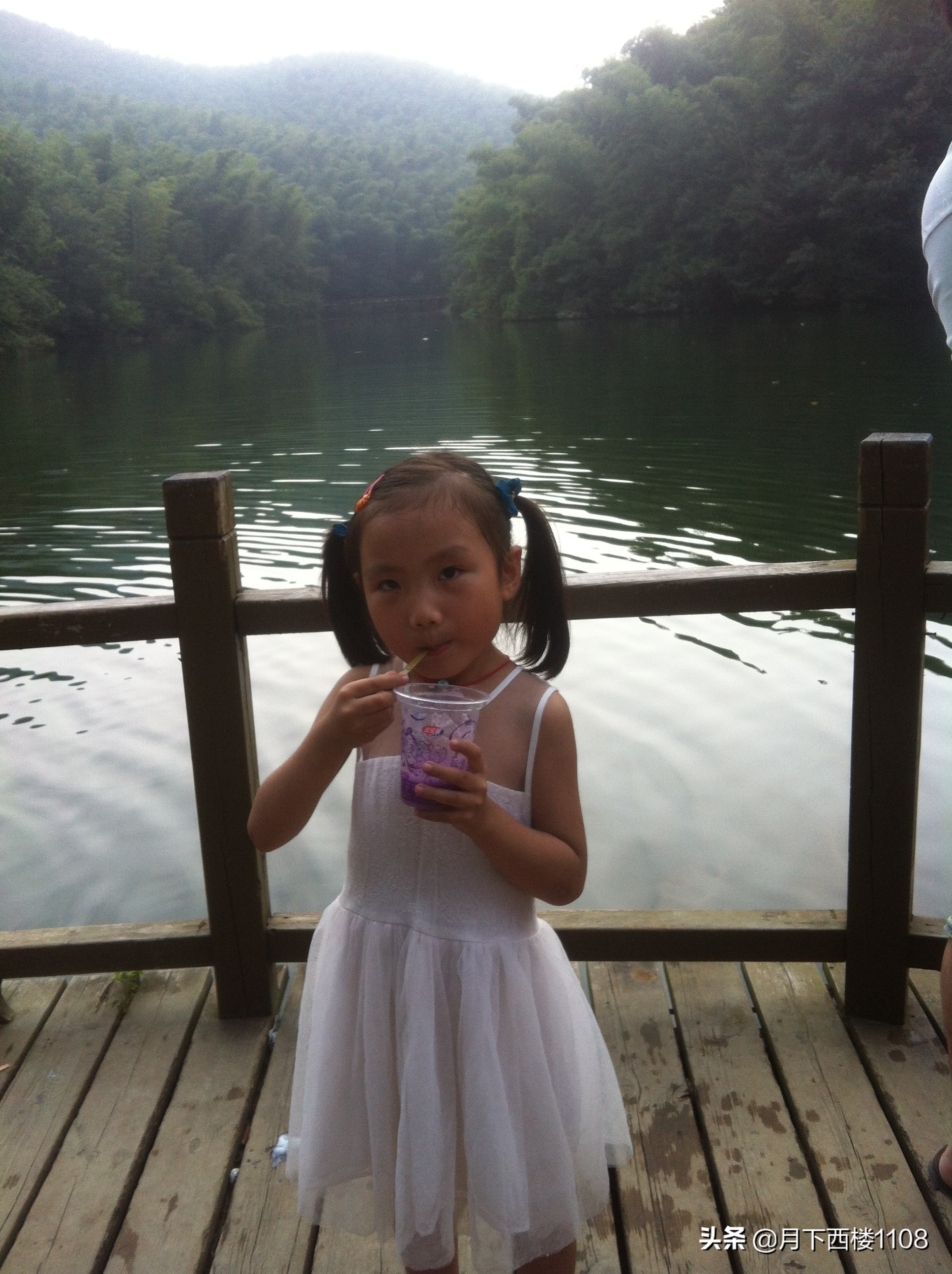 江苏南山竹海天然氧吧,南京石塘竹海风景区开放了吗