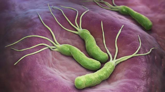 根除幽门螺杆菌，吃药要注意些什么？收藏备用