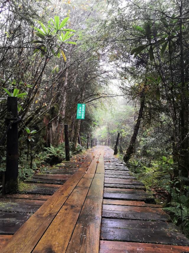 大美川西贡嘎燕子沟,甘孜燕子沟二日游攻略