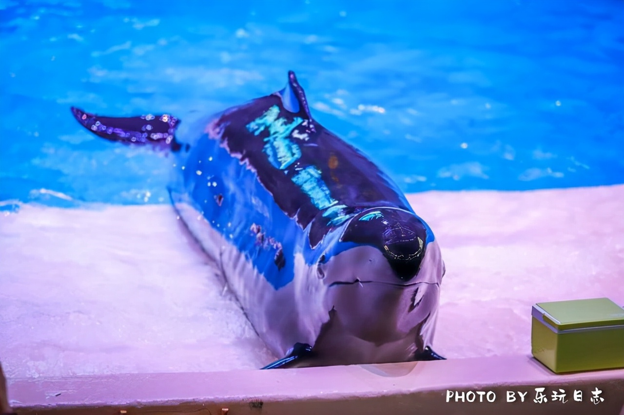 来珠海旅游必打卡的景点,春节珠海亲子游玩地方推荐