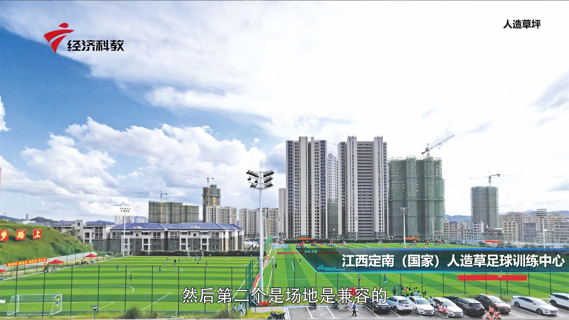 广东新焦点最新视频,广州星卫草业股份有限公司怎么样