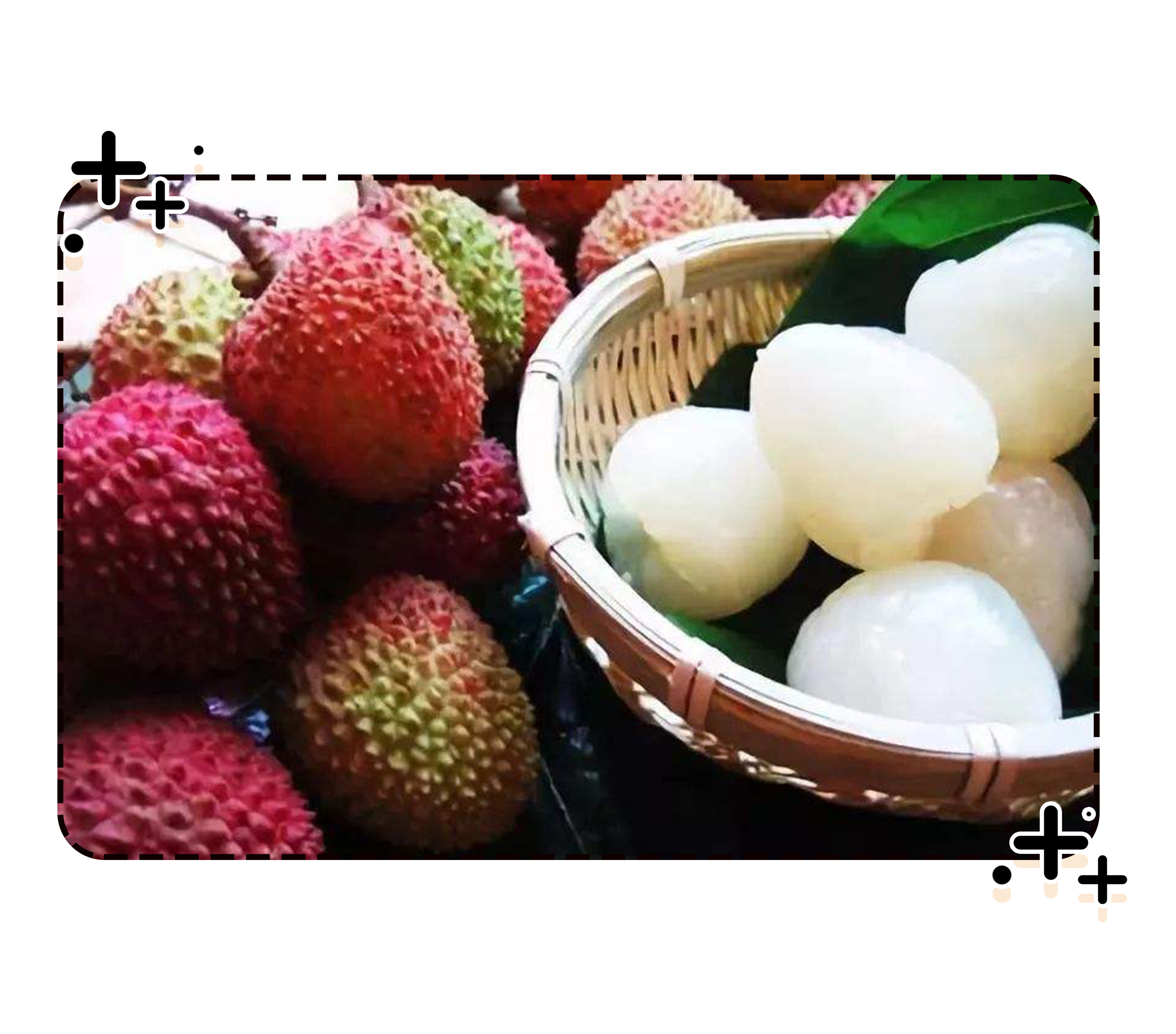 荔枝控们有多疯狂？为了阻止荔枝“自杀”费尽心机（菲李漫画）