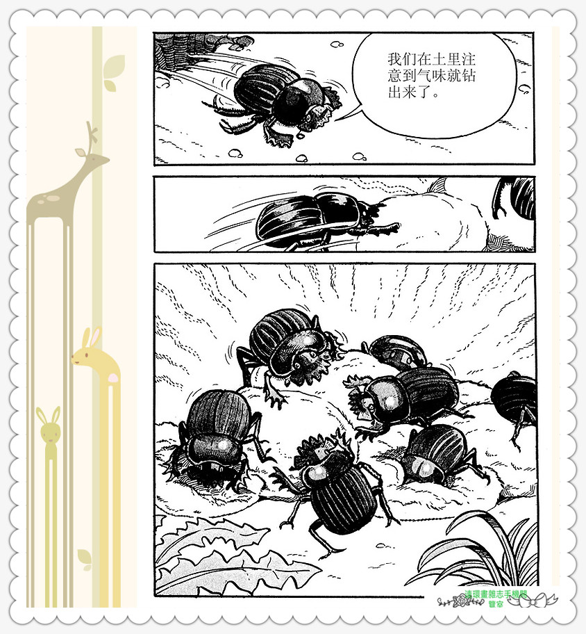 昆虫记法布尔动画片,昆虫记法布尔全套