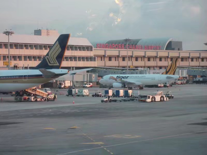 新加坡之旅短视频,新加坡之旅图片