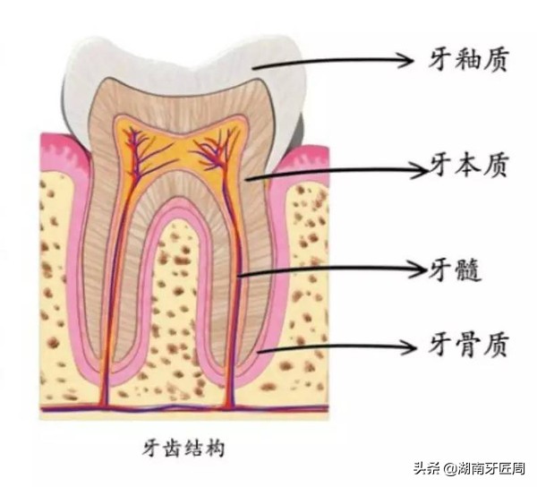 小朋友牙齿撞坏了怎么办,儿童牙齿摔掉了门牙怎么处理