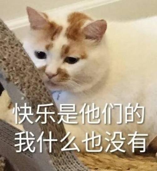 10646元！2019年深圳市在岗职工月平均工资出炉，你达标了吗