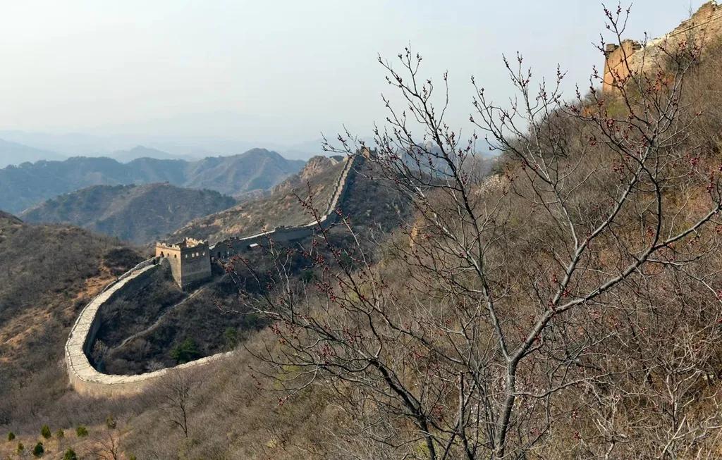 云游江山赏美景,云游花花世界欣赏杜鹃花