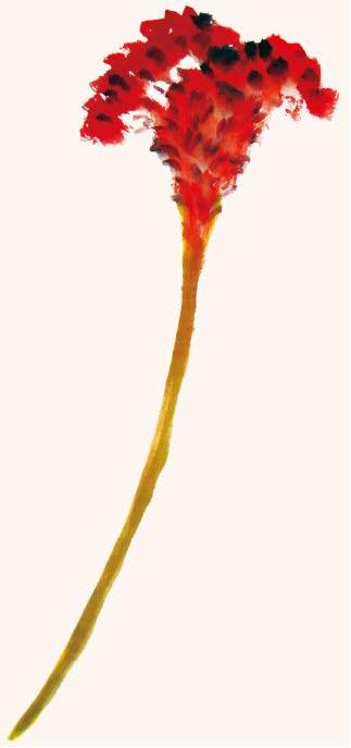 天牛写意画法步骤图,纯干货3分钟学画写意天牛和瓢虫