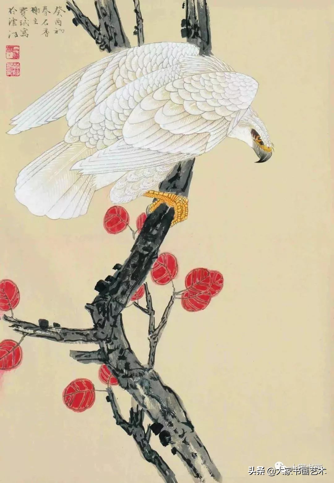 贾宝珉写意花鸟画谱山石篇,贾宝珉花鸟画稿精选图文