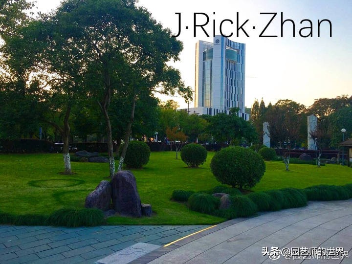 怎么种植草坪不长杂草,如何养好草坪