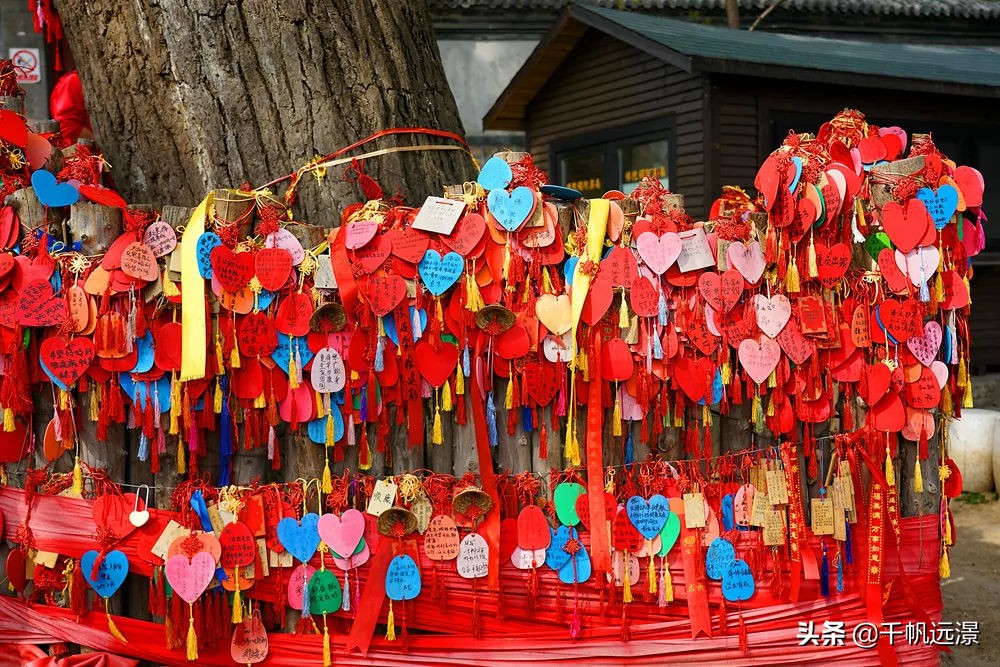 阳春四月春意盎然,阳春四月艳阳照