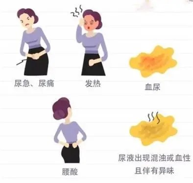 游泳后尿尿疼什么原因,游泳后腰痛