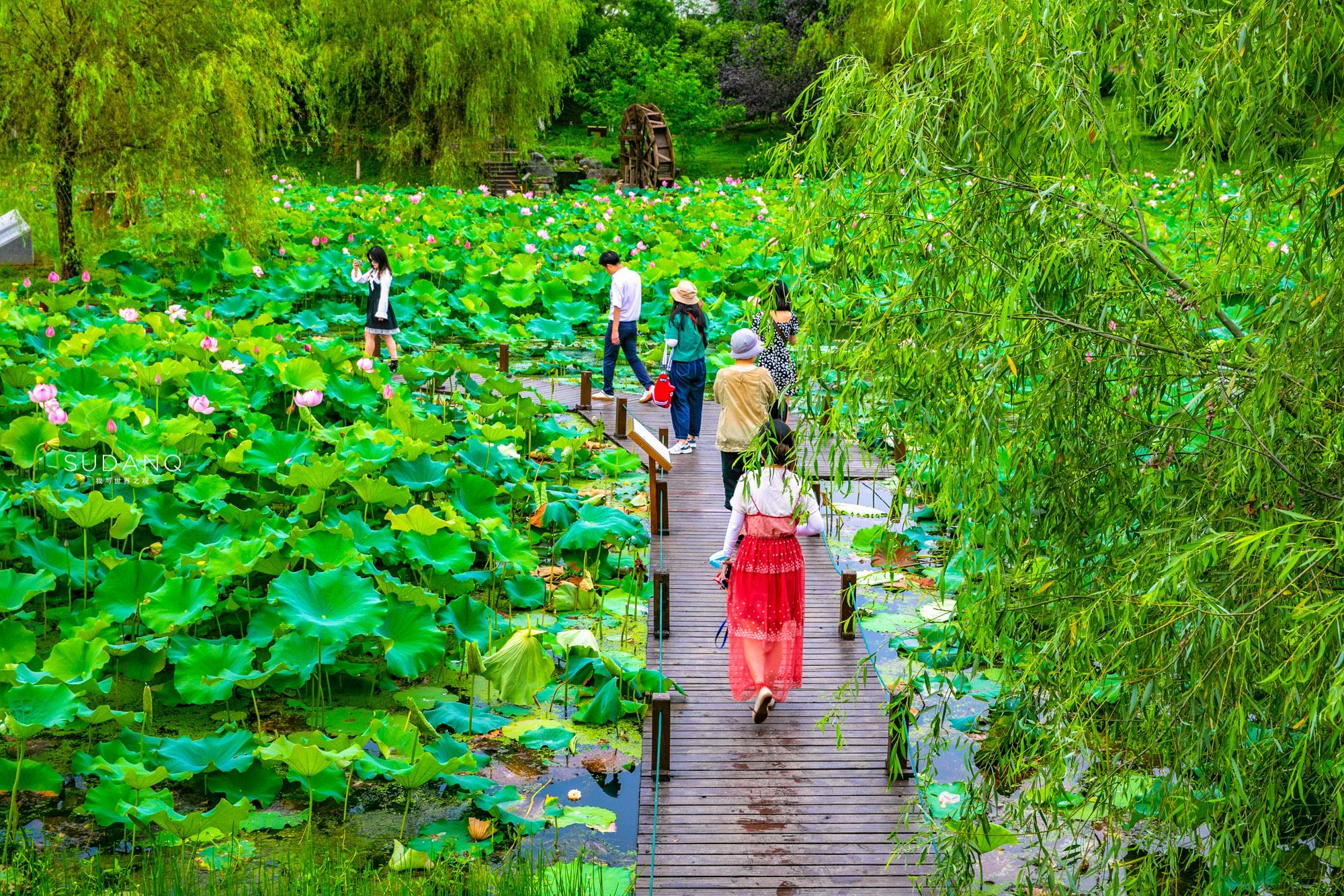 湖北松滋洈水千岛湖景区,湖北松滋市洈水新楼盘