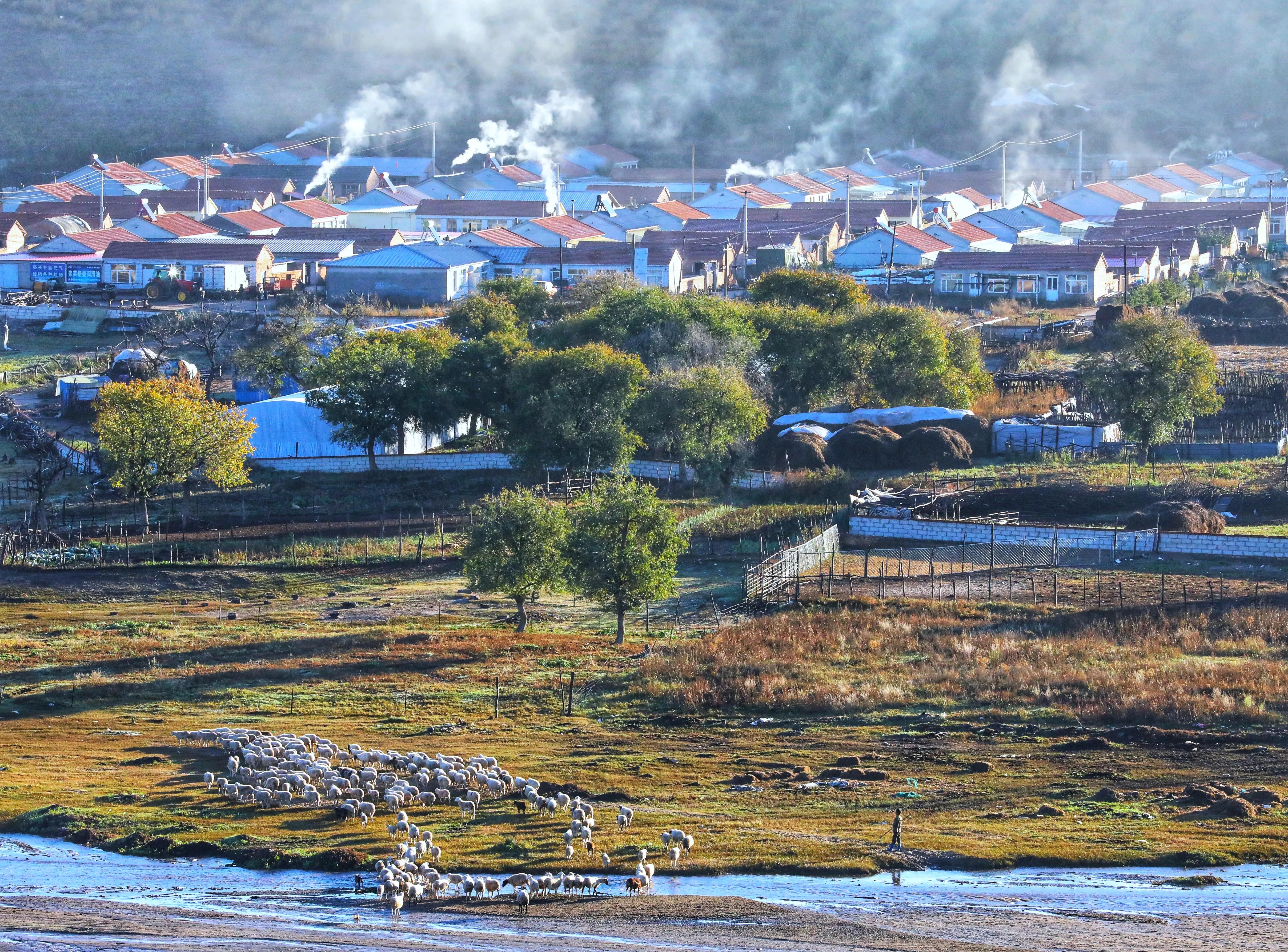 坝上秋色草原,坝上草原游记作文