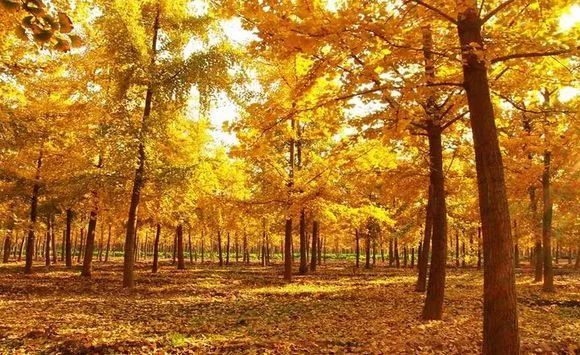 冷门江浙沪2-3天短途旅游,江浙沪过年冷门度假最佳地方