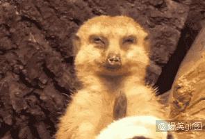 一上班就想睡觉不上班精神好,一上班就想睡觉是什么病