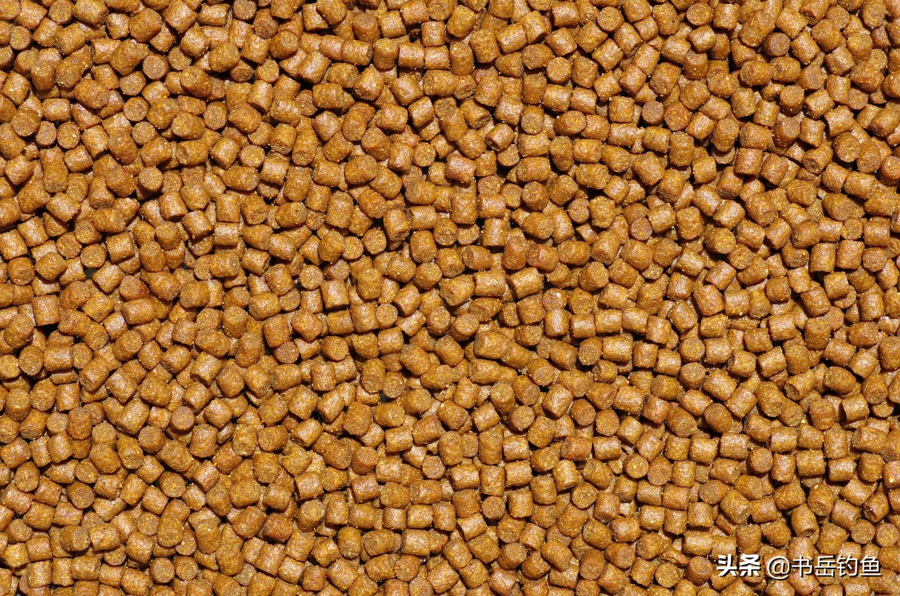 钓鱼颗粒的正确挂法图,钓鱼的颗粒饵