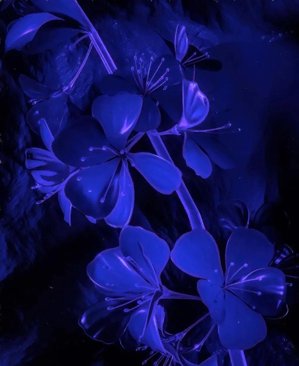 最新ps大师优秀作品欣赏,ps设计经典之作