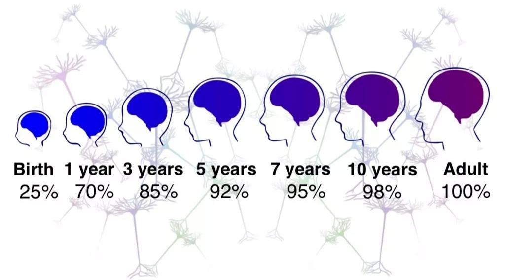 dha宝宝补到几岁,dha补到几岁比较合适