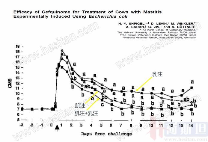 产后急性子宫内膜炎,产后急性宫颈炎症状