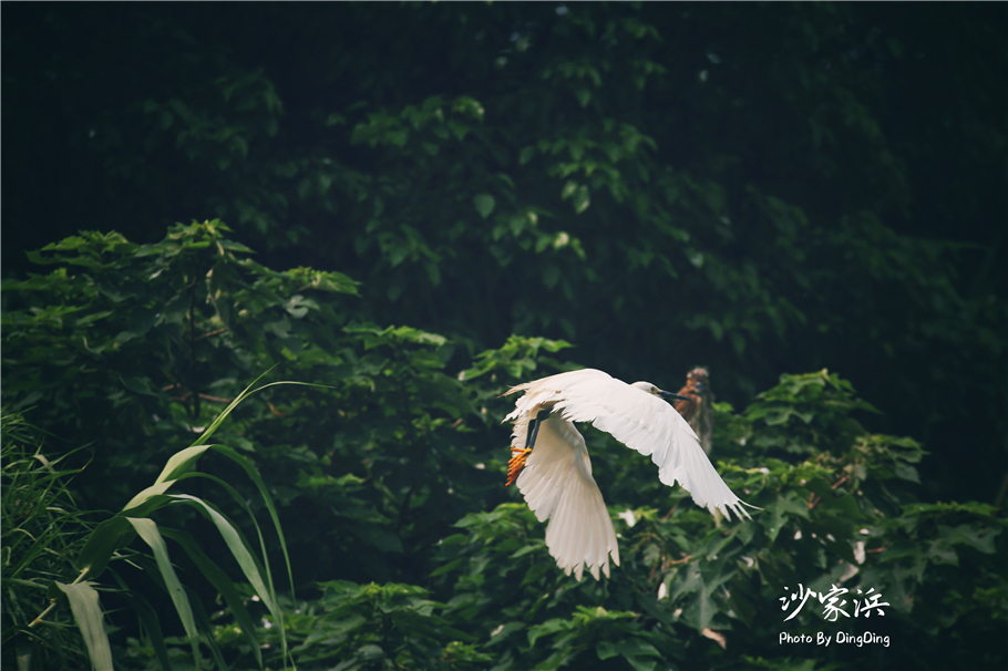 苏州红色革命旅游景点图片,苏州红色革命景点介绍视频