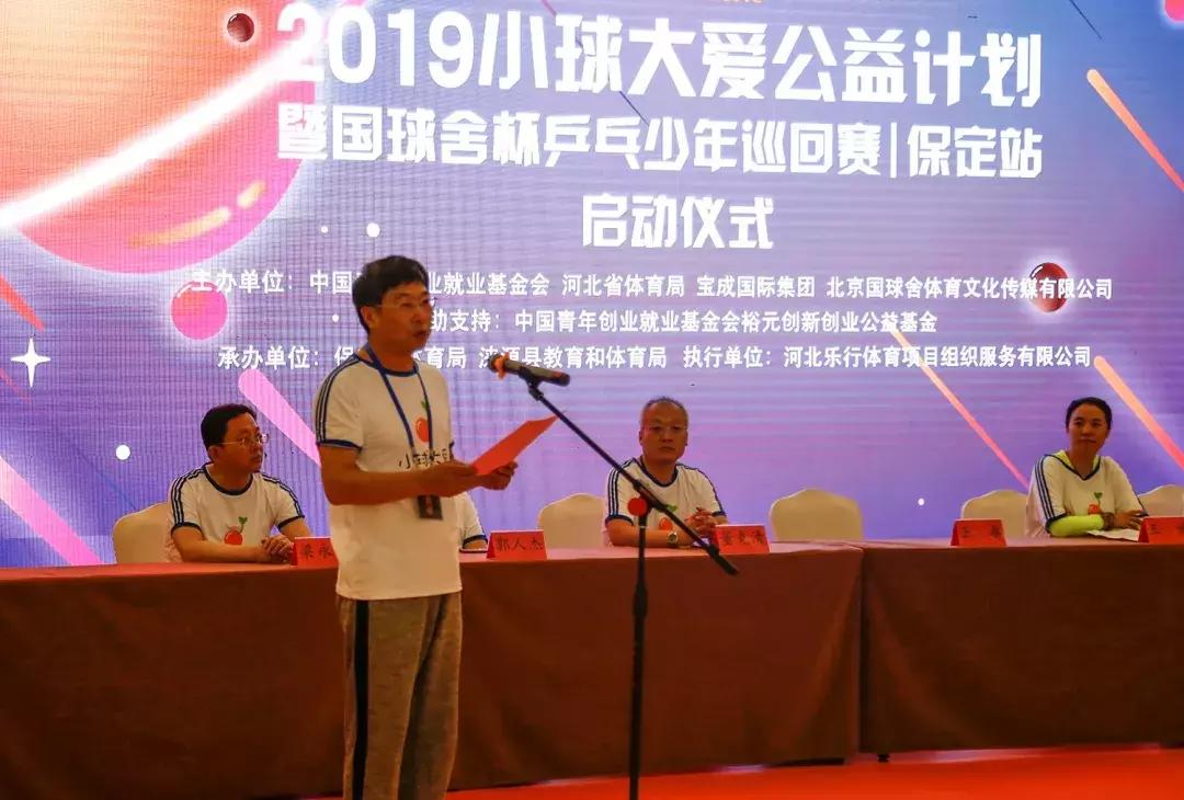 王楠小球大爱,王楠小球大爱公益