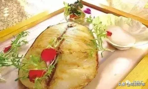 海鱼的做法大全家常视频,海鱼的30种家常做法收藏