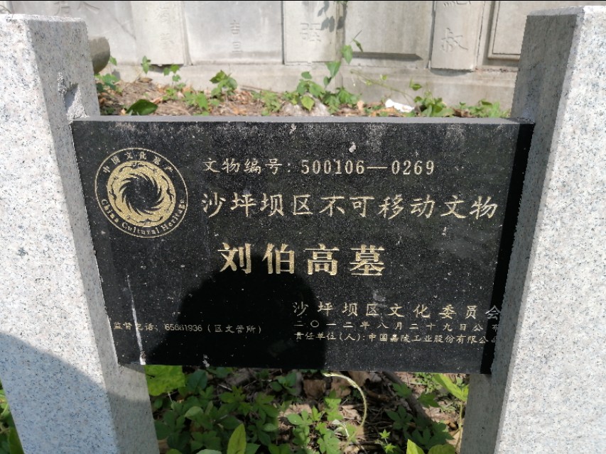 扫街日记100篇,扫街日记视频