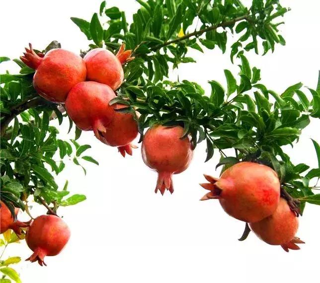 荥阳一日游攻略一览表,郑州一日游荥阳