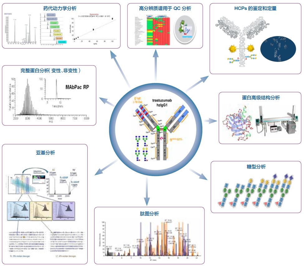 抗疫的药有什么中药,抗疫药方有哪些