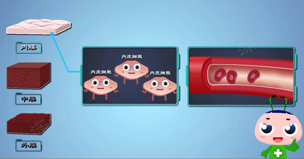 肾性过敏性紫癜多久出现血尿,肾型过敏性紫癜出现血尿时间