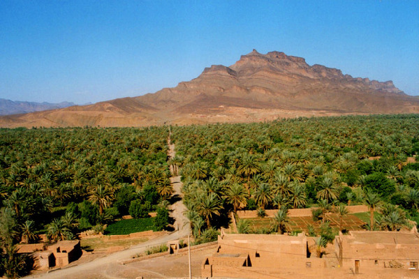 想去非洲劳务，需要走几步？