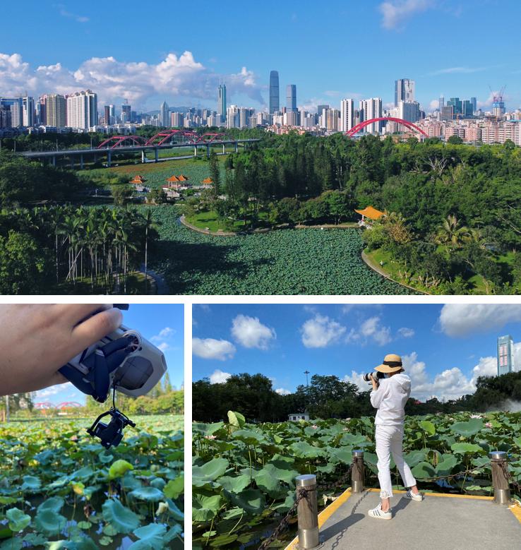 飞行2万公里，足迹10个城市——2020我的手机摄影之旅