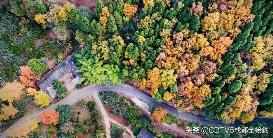 成都新发展理念的公园城市示范区,成都发展新篇章