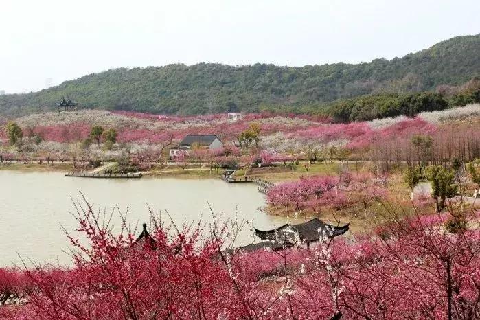 对不起我要去钟祥了图片,对不起我要去忙了日语