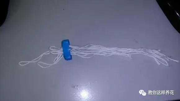 塑料瓶扔了就是扔钱！用来养花就是宝贝，看到了快捡！